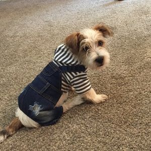 Small Dog Overalls